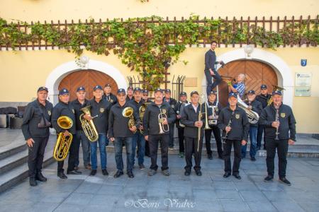 Trgatev stare trte 2